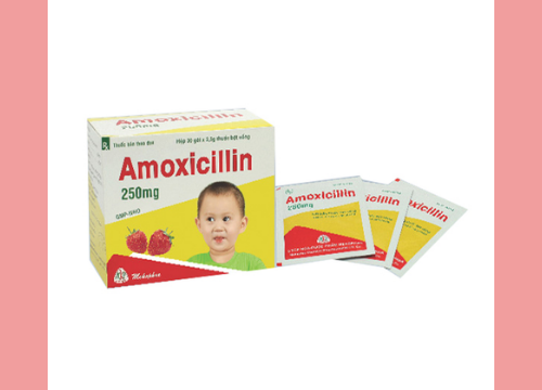 Amoxicilin là gì? Liều lượng và cách sử dụng? Ghi chú?
