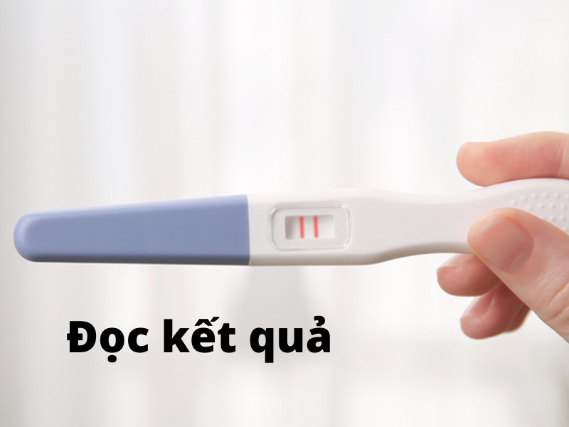 [A-Z] Các xét nghiệm mang thai mà phụ nữ cần biết. - Vật lý trị liệu