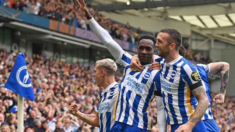 Brighton Hove Albion: tiểu sử câu lạc bộ và thành tích của "The Seagulls"