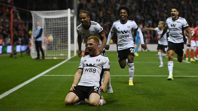 Fulham: Tiểu sử và thành tích CLB “The Cottagers”